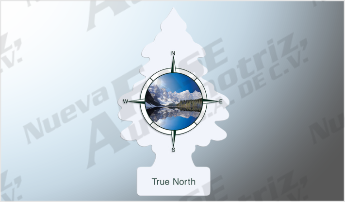 AROMATIZANTE PINO INDIVIDUAL TRUE NORTH /144